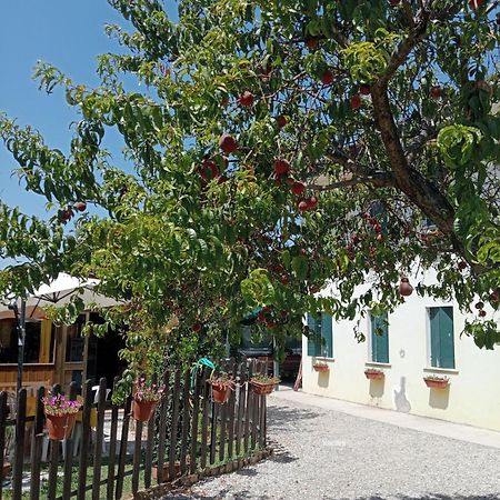 Appartamento Malcontenta มิรา ภายนอก รูปภาพ